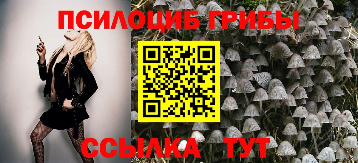 Псилоцибиновые грибы прущие грибы Спасск-Дальний