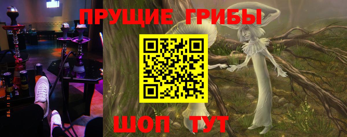 Спасск-Дальний  хочу наркоту  Вход с VPN  Псилоцибиновые грибы Psilocybe 